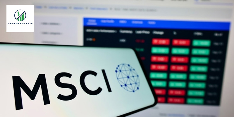 cac-loai-msci