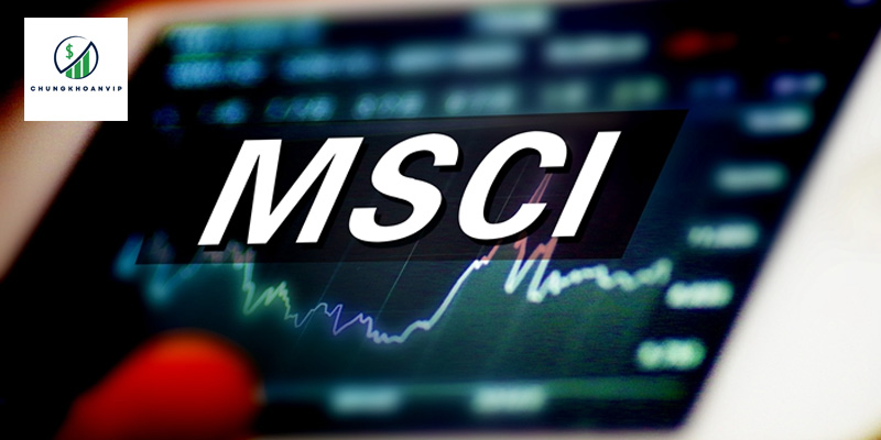 MSCI Là Gì? Tất Tần Tật Về Chỉ Số MSCI Cho Nhà Đầu Tư