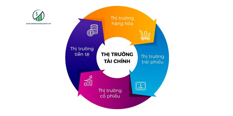 ung-dung-nguyen-ly-thi-truong-tai-chinh-vao-dau-tu